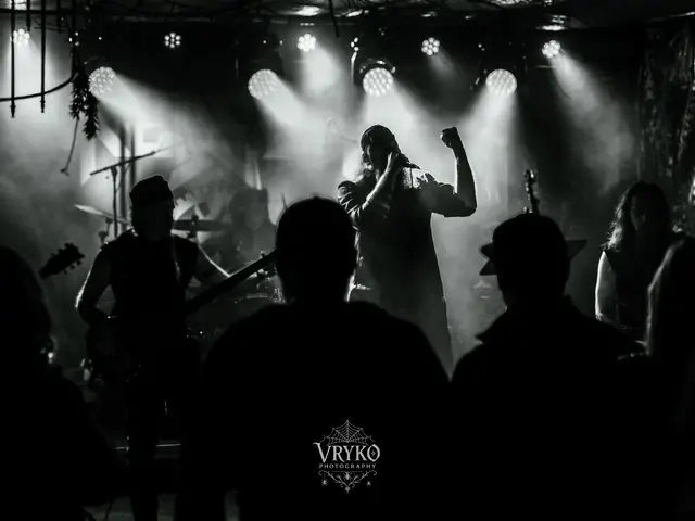 Vocalist with fist raised, backlit, crowd silhouettes in front
